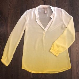 Banana Republic Sheer Blouse